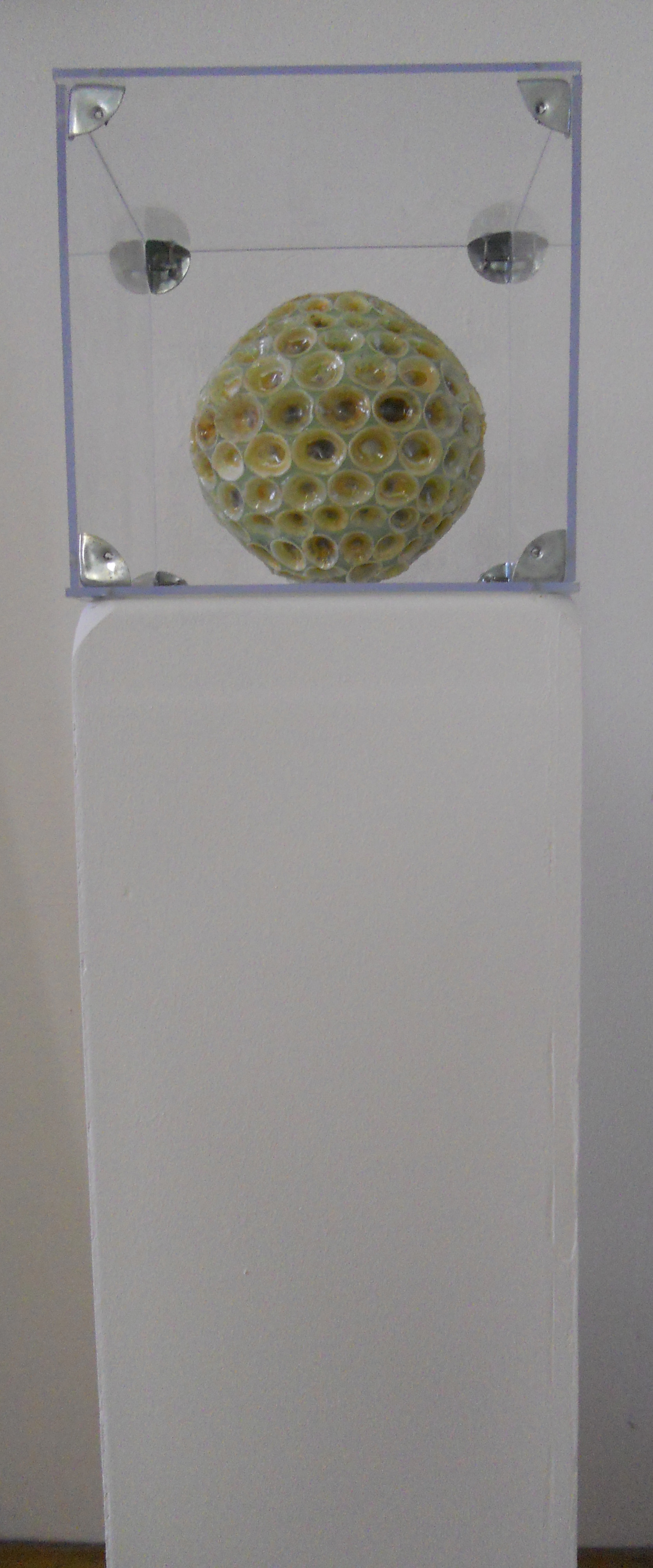 MW 05 (Hohe Auflösung)